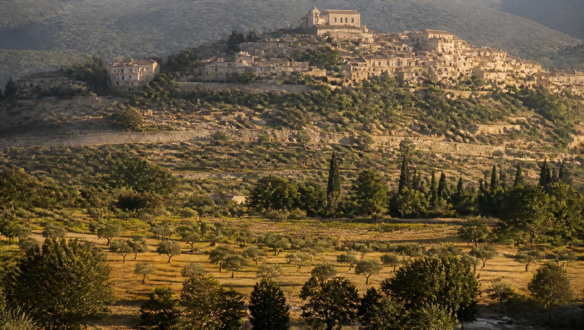 A Provençal hilltop village at golden hour above blooming lavender fields