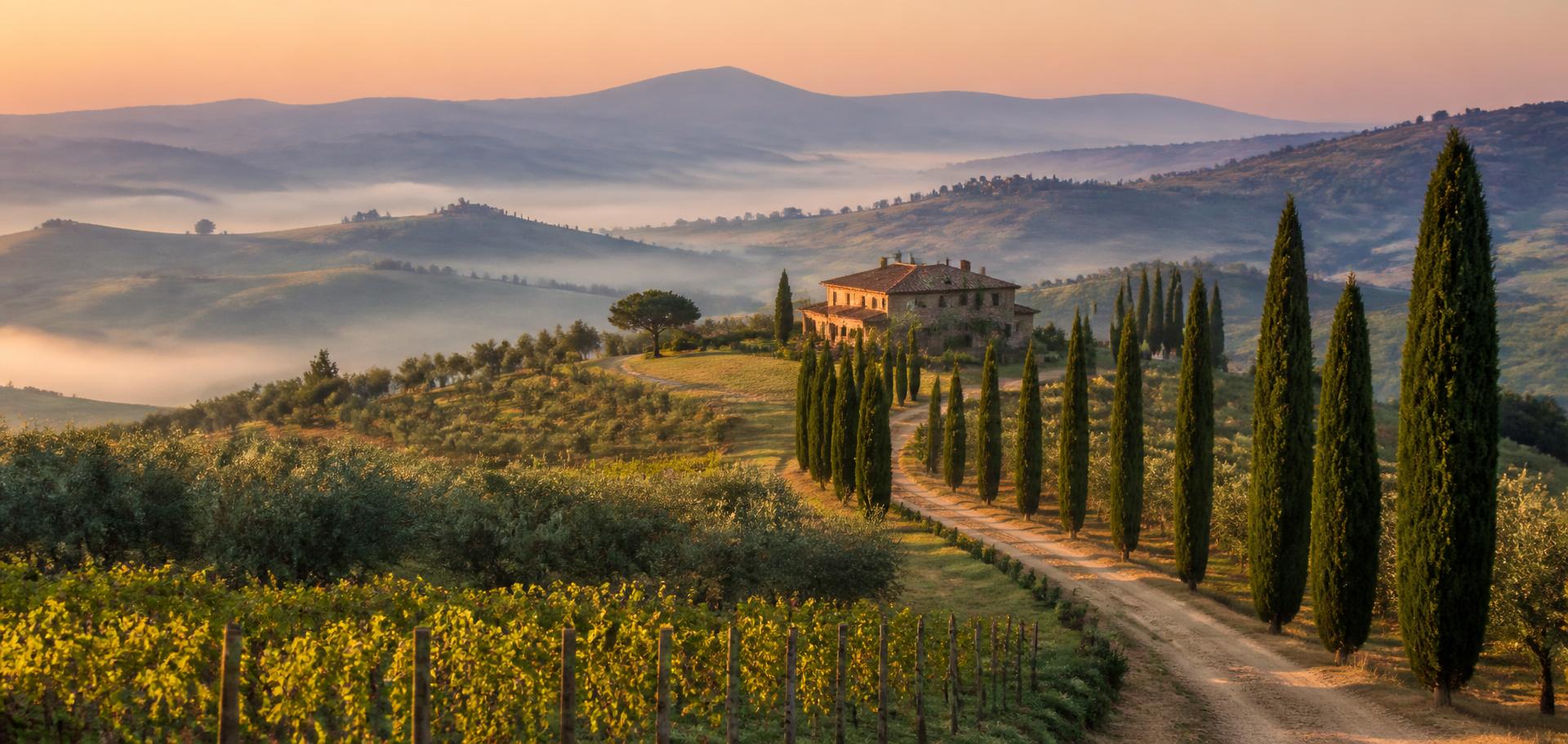 A misty Tuscan valley at dawn with cypress-lined road and a stone farmhouse